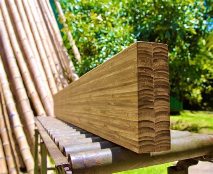 Are bamboo stakes treated? | ContextResponse.com