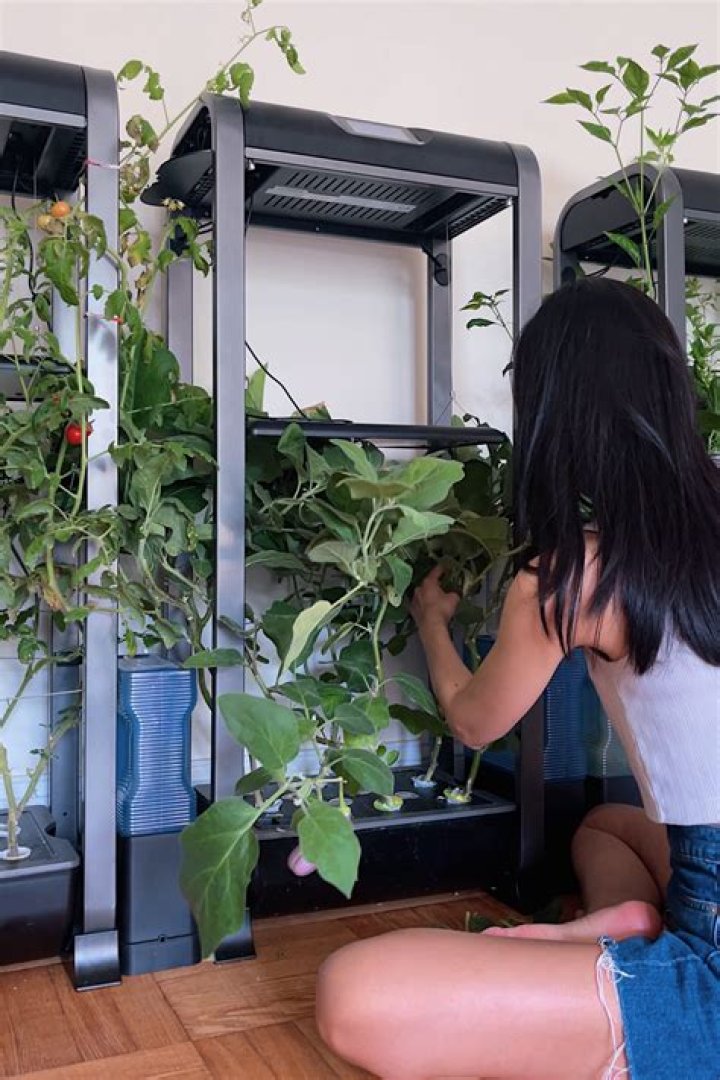 Are indoor hydroponic gardens worth it?