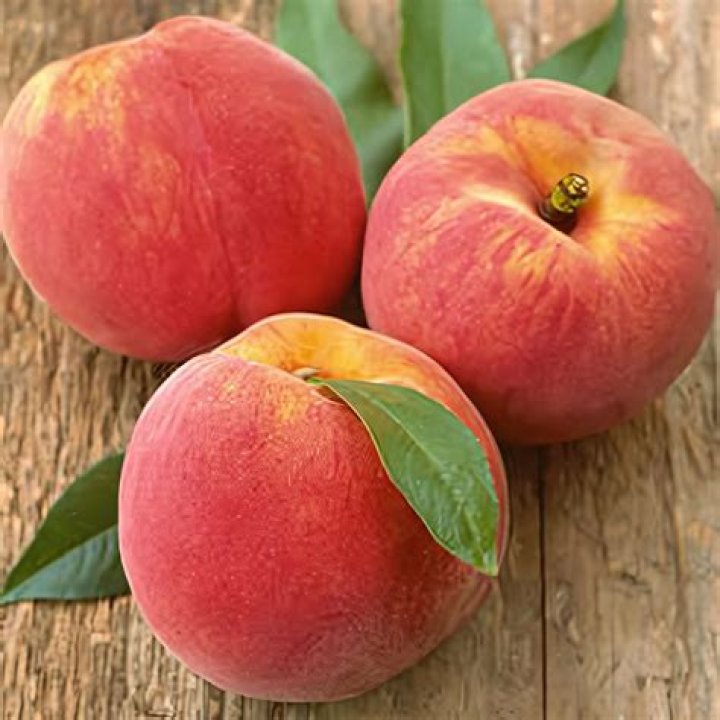 Are red haven peaches Freestone