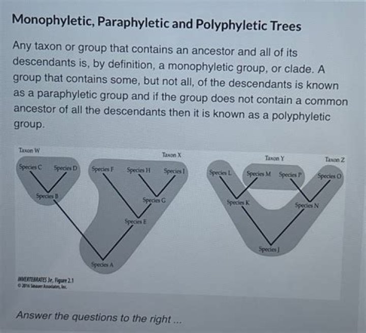 Are snakes monophyletic? | ContextResponse.com