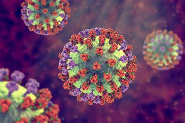 Can a flu virus affect the nervous system?