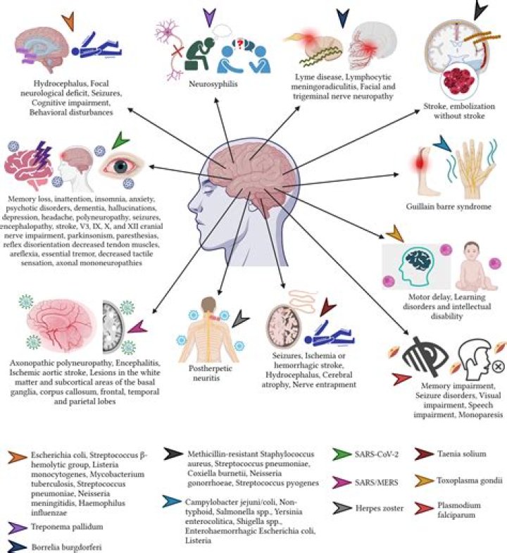 Can boxing cause neurological damage?
