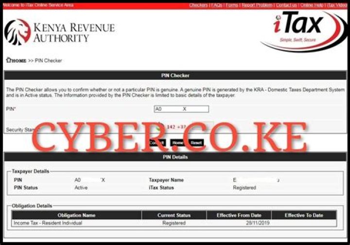 Can I check my KRA PIN online?
