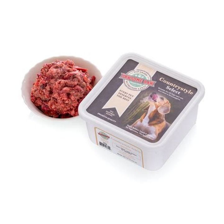 Can I feed my dog raw ground beef?