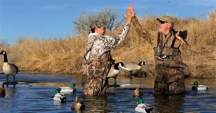 Can I hunt ducks in NSW?