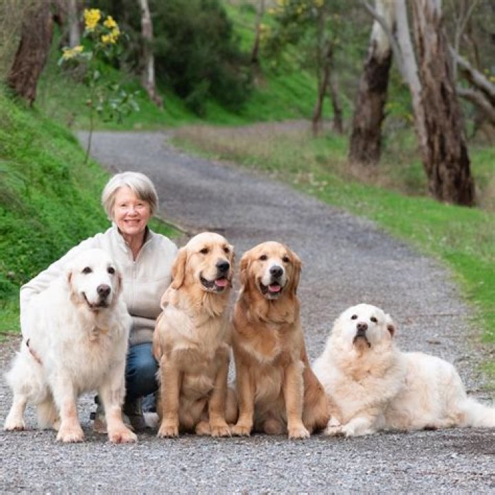 Can you call Rspca anonymously?