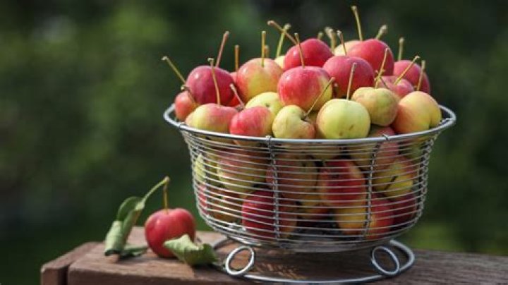 Can you eat crabapples