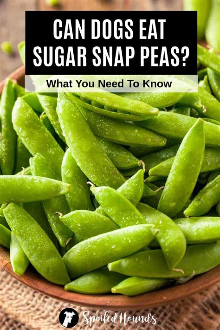 Can you eat sugar snap peas