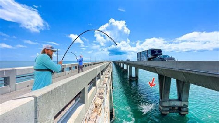 Can you fish on the Bay Bridge?