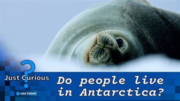 Can you live on Antarctica?