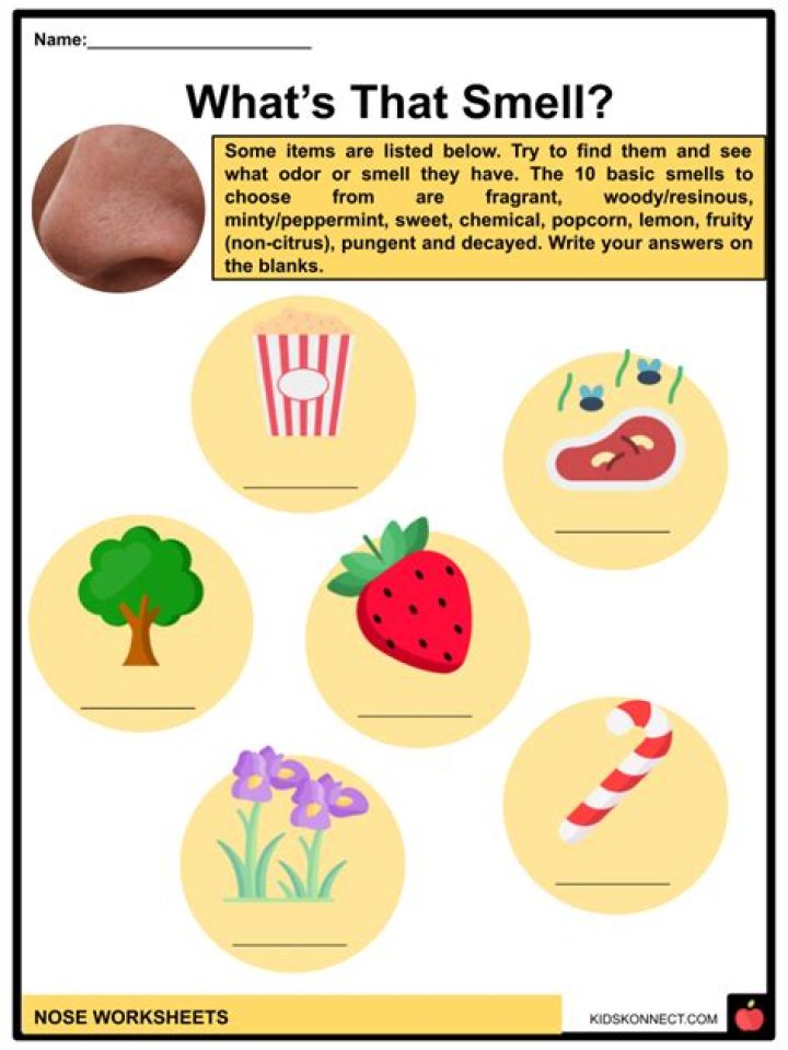 Can you smell methane gas