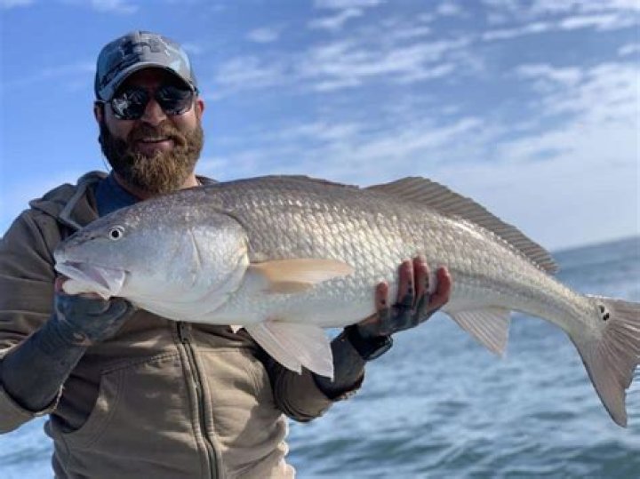 Can you surf fish on Tybee Island?