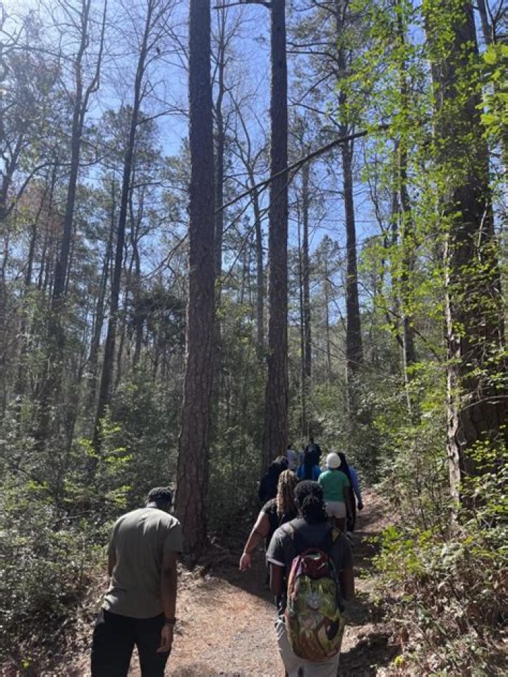 Can you swim at Sesquicentennial State park?