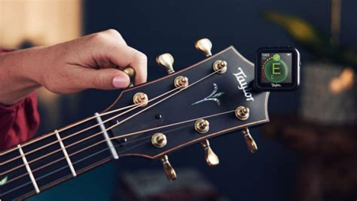 Can you use a guitar without a pick?