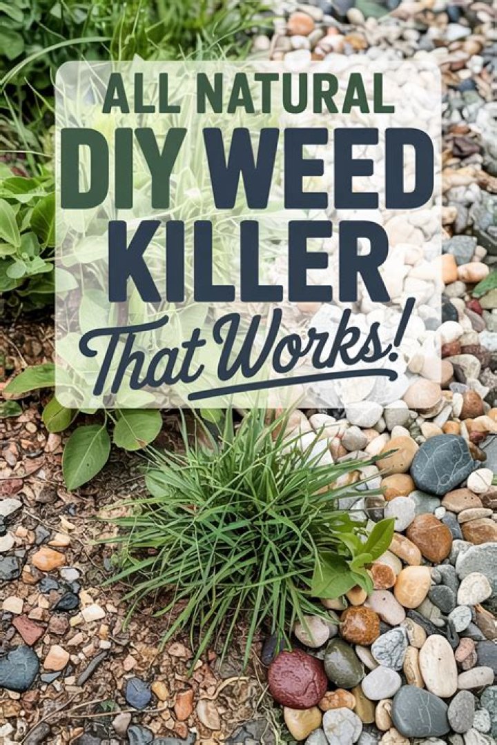 Can you use borax to kill weeds