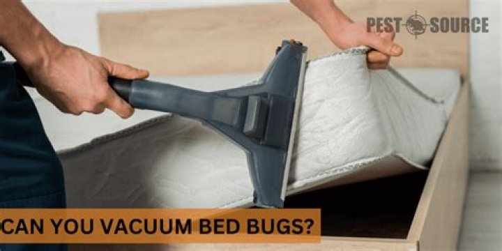 Can you vacuum bed
