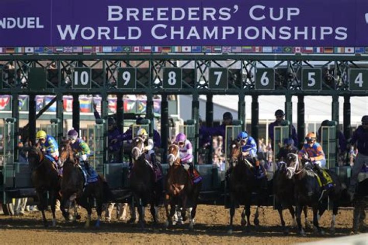 Can you watch the Breeders Cup online?