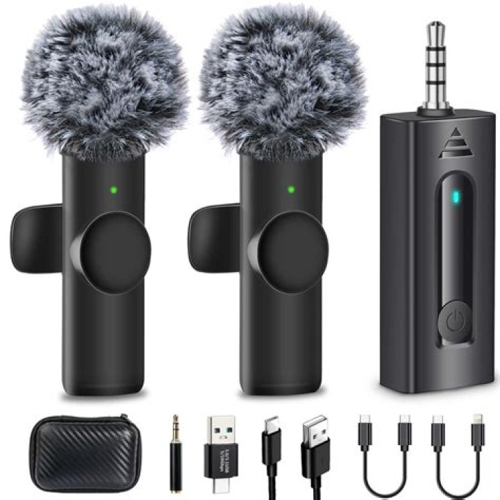 Do camcorders have microphones?