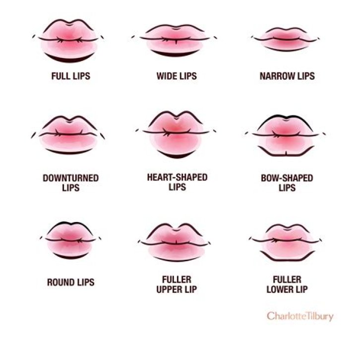 Do cat have lips