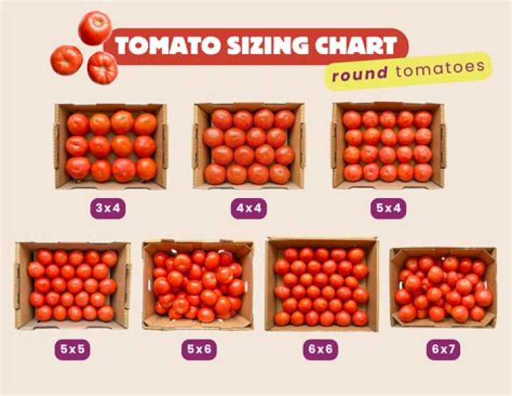 Do cherry tomatoes have more carbs than regular tomatoes?