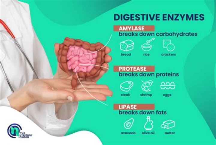 Do Digestive enzymes help leaky gut?