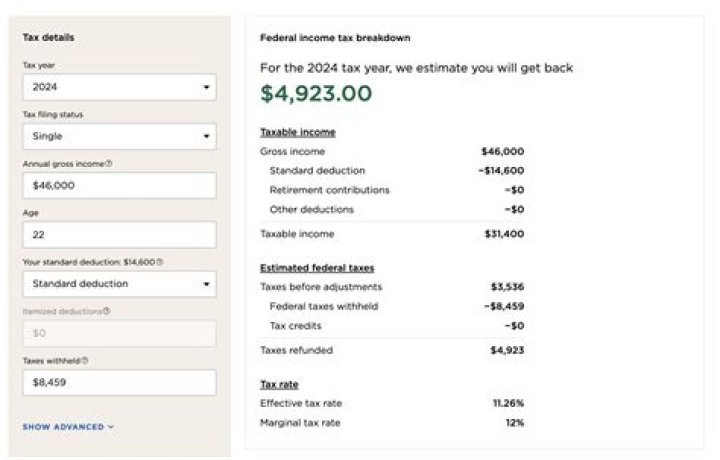 Do small business get taxes back?