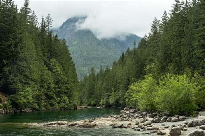 Do you need a pass for Golden Ears Park?