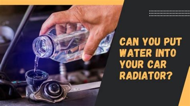 Do you put water in the bottom of a rival roaster?
