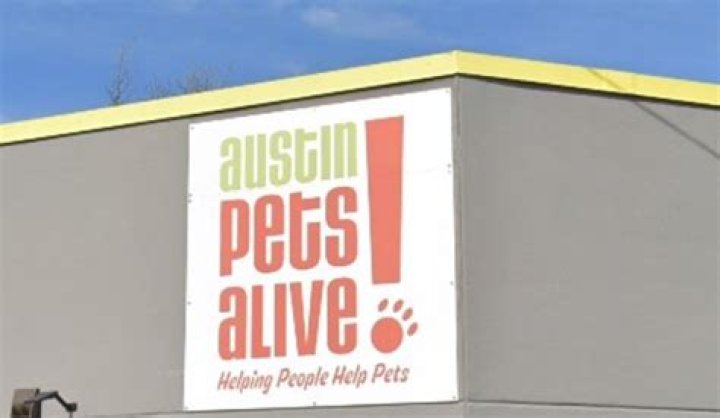 Does Austin Pets Alive euthanize?