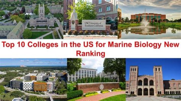 Does Boston College have a marine biology program?