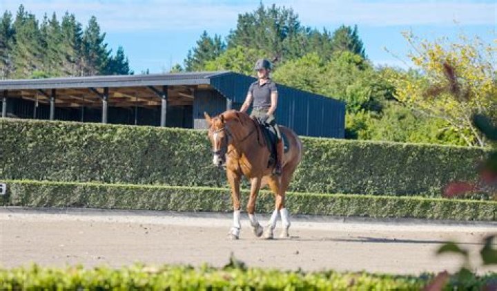 Does horseback riding count as exercise?