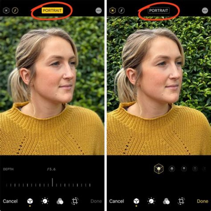 Does iPhone 6S have portrait mode?