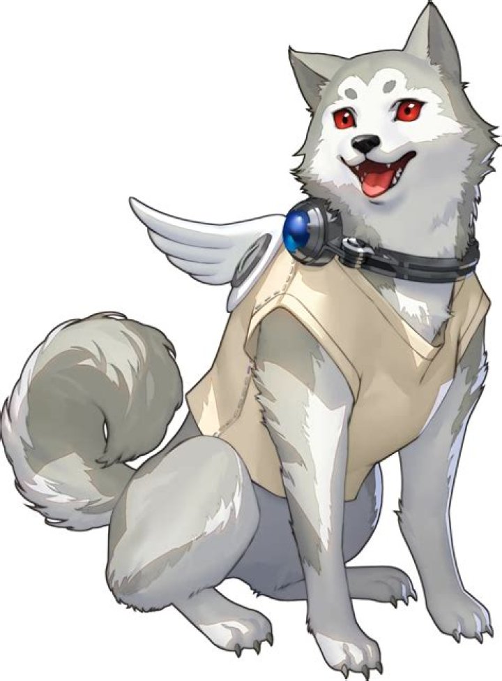 Does Koromaru have a persona?