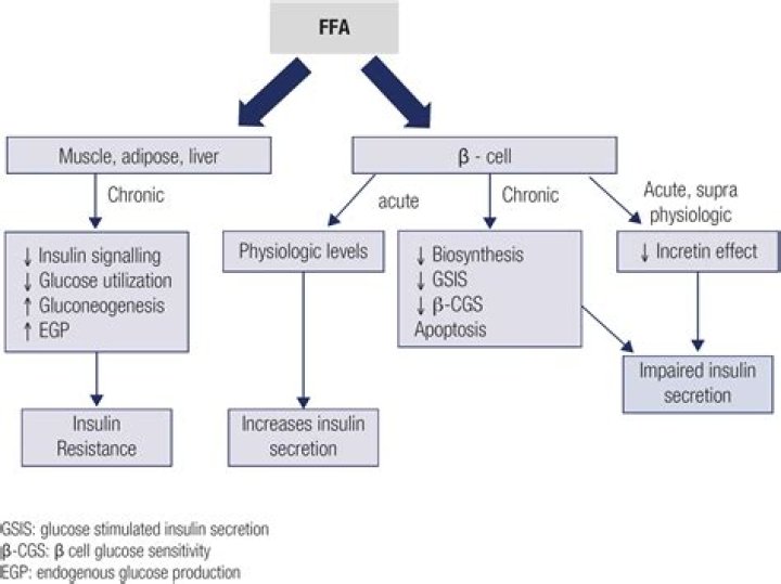 Does potassium affect insulin?