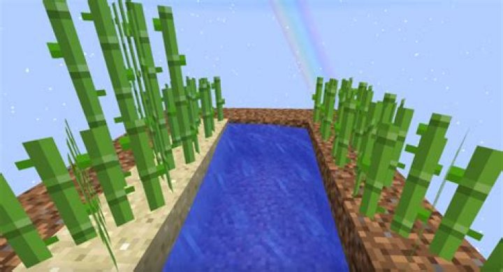 Does sugar cane grow faster on sand?