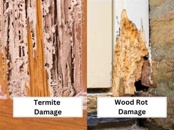 Does xylene damage wood?