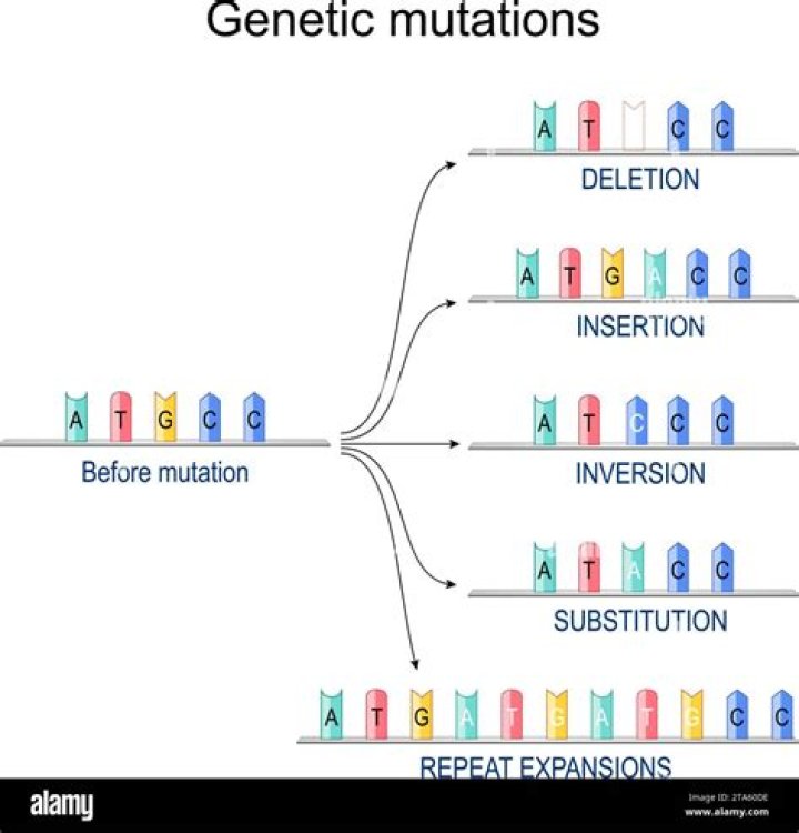 How can a mutation affect an organism