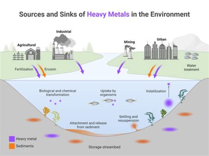 How can heavy metals affect the waterways?