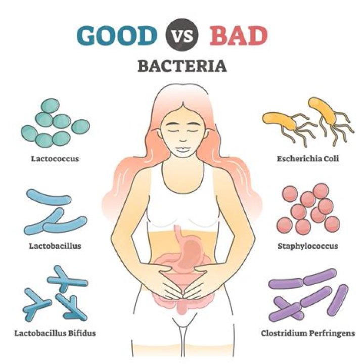 How can I keep the bacteria in my stomach healthy?