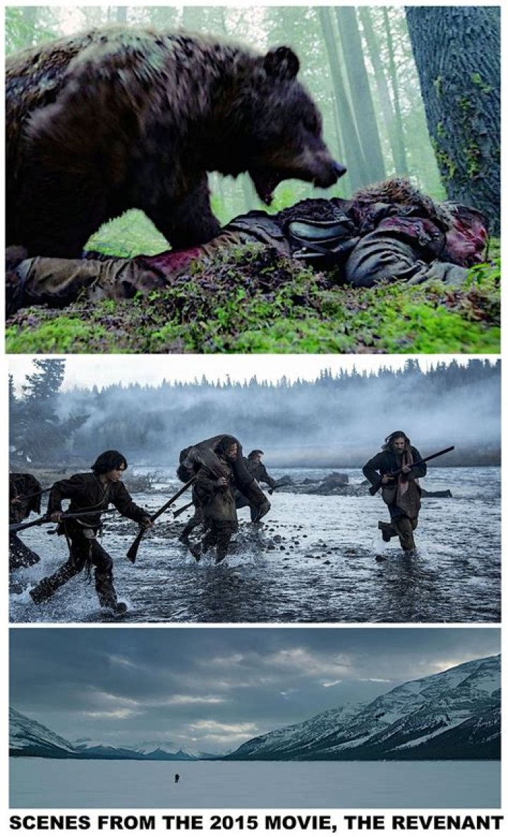 How did they film the bear attack scene in revenant?
