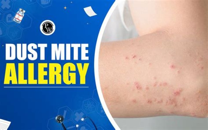 How do dust mites cause allergies?