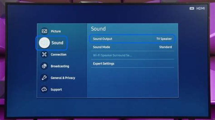 How do I enable multi audio on Samsung?