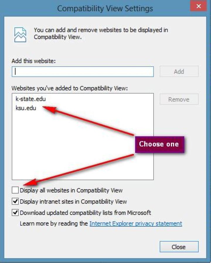 How do I permanently add a website to Compatibility View?