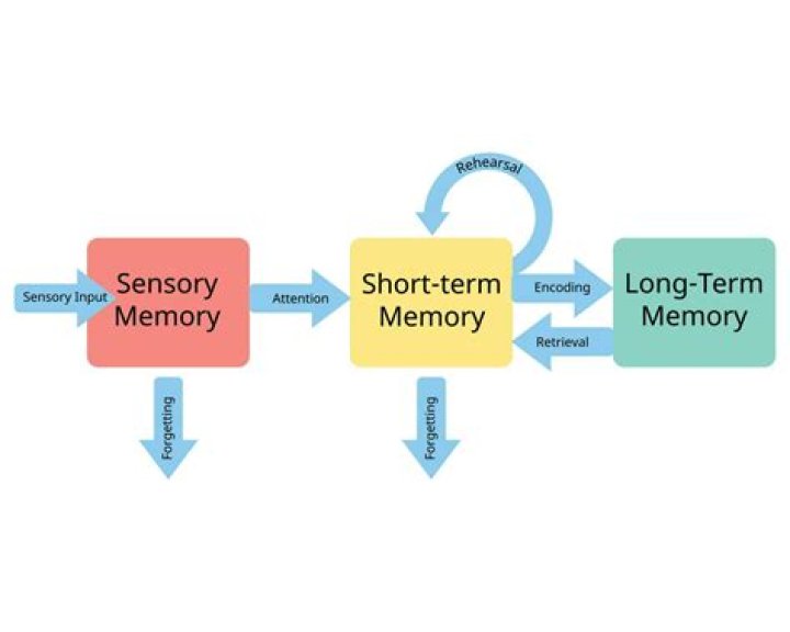 How do I see process memory utilization in Linux?
