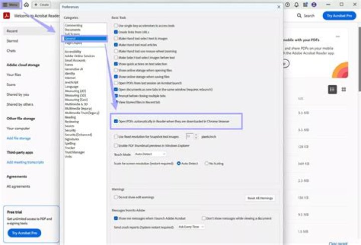 How do I stop automatic program updates?