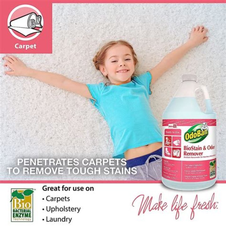 How do I use OdoBan on my couch