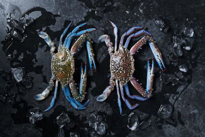 How do you cook frozen raw Blue Crabs?