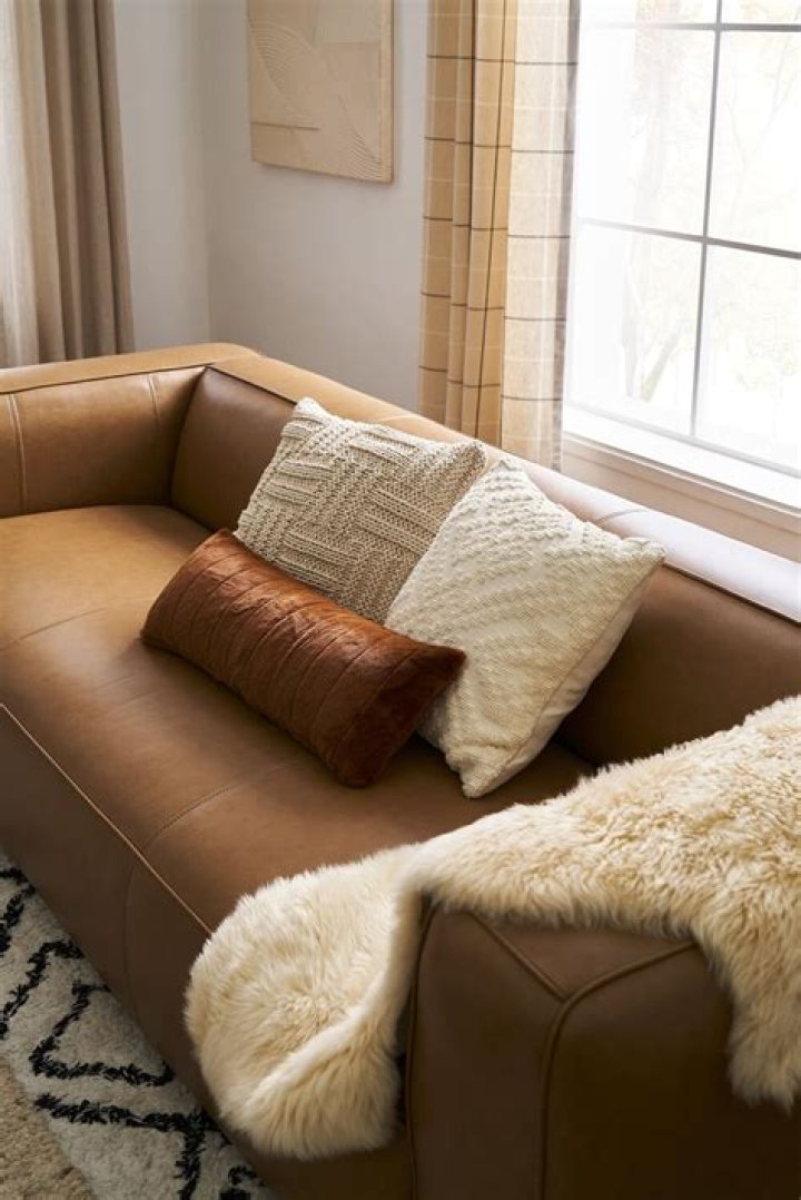How do you decorate a lounge couch with Brown