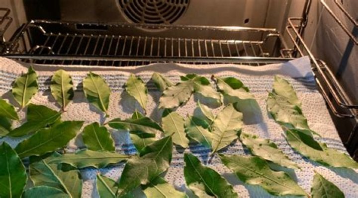 How do you dry out bay leaves