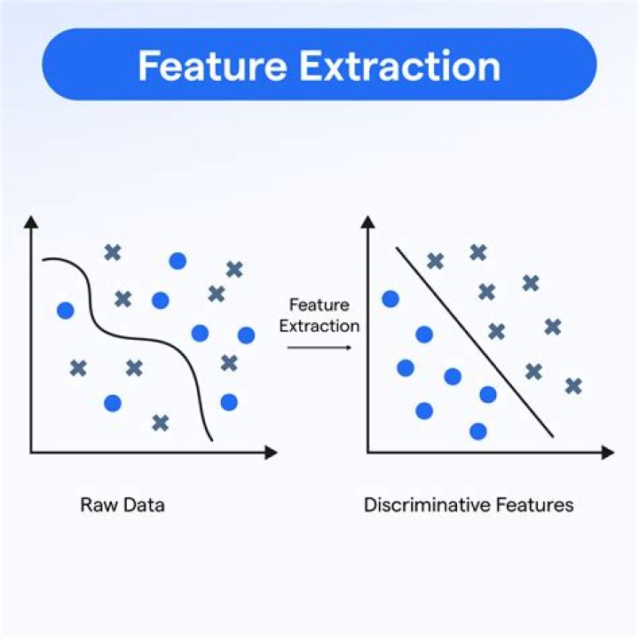 How do you explain extraction?